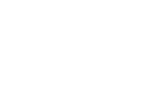 WS logo total white